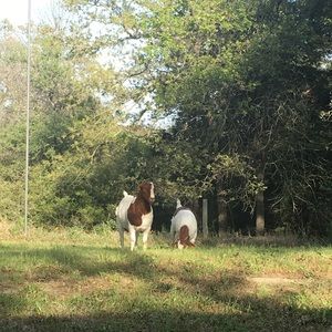 Meet your Posher, Ky